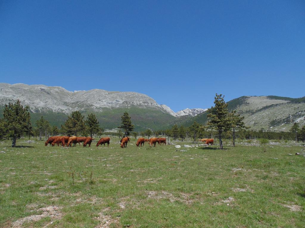 Holiday Home Paklenica Starigrad Paklenica Luaran gambar